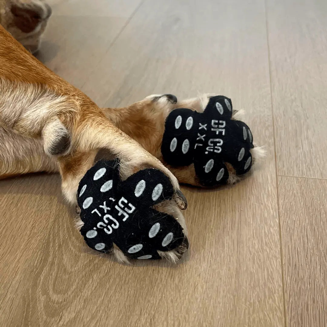 Dog Paw Pad Protectors - Dog Friendly Co.