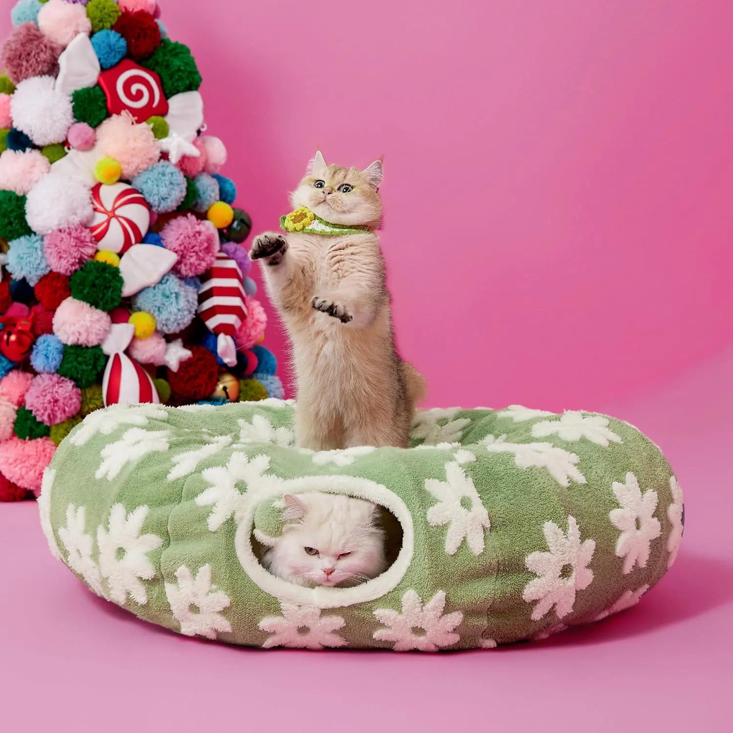 Lesure Cat Tunnel Bed for Indoor Cats - Cute Cat Donut Tunnel with Washable Circle Cushion, round Pet Play Tunnel Toy for Kitten/Puppy/Rabbit - Animal Blanket Home