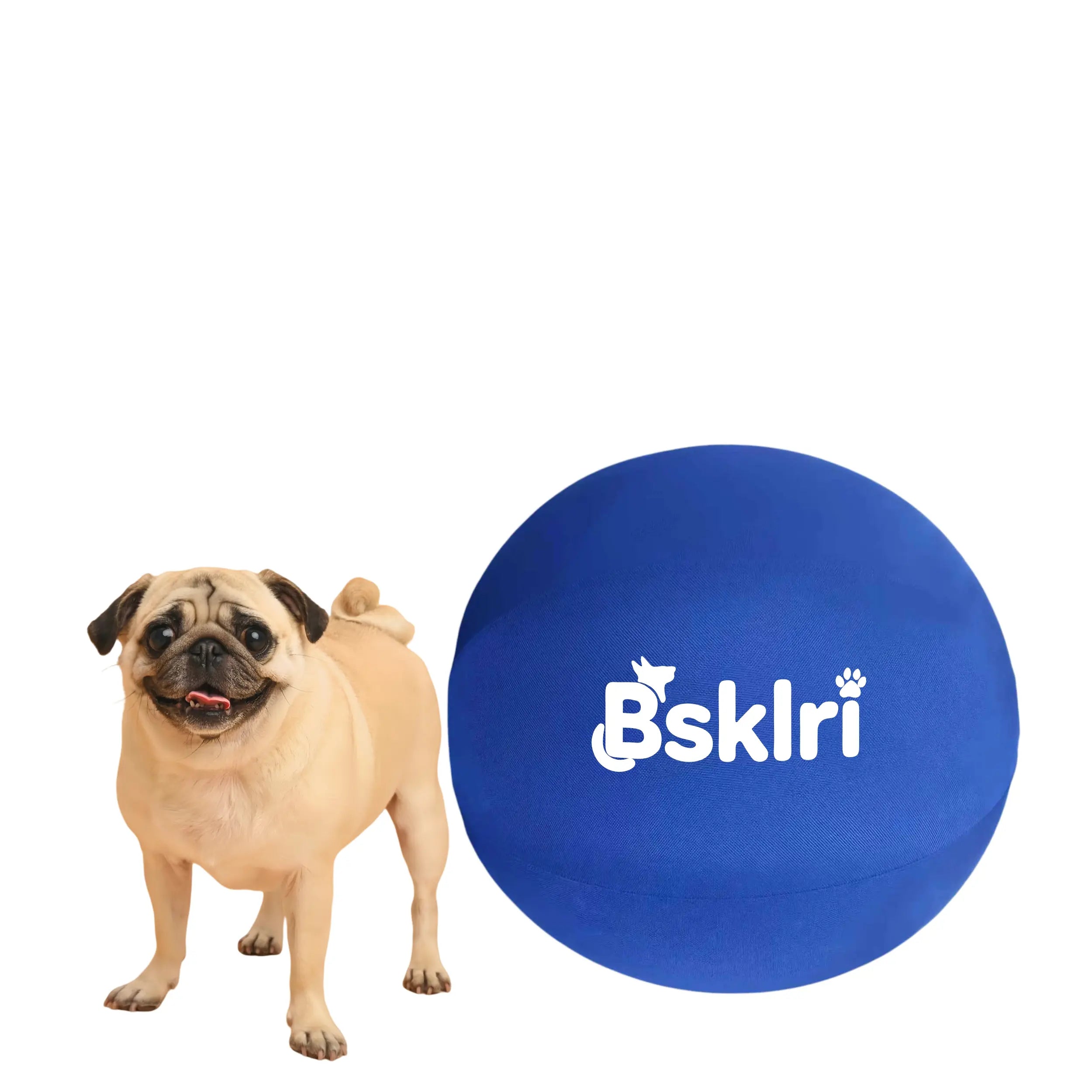 Inflatable Herding Ball for Dogs – Push & Chase Interactive Outdoor Dog Toy (NOT for Aggressive Chewer)