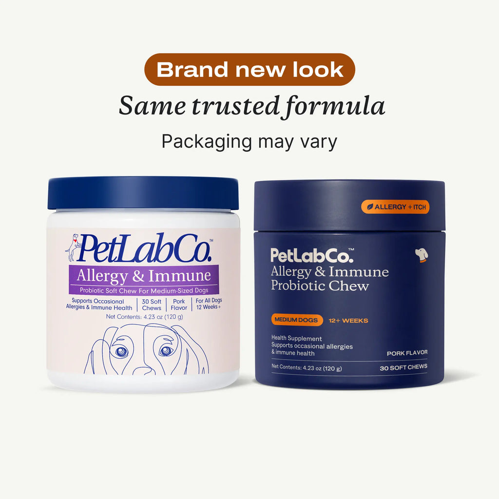 Allergy & Immune Chews - Dog Probiotics for Seasonal Allergies - Petlab Co.