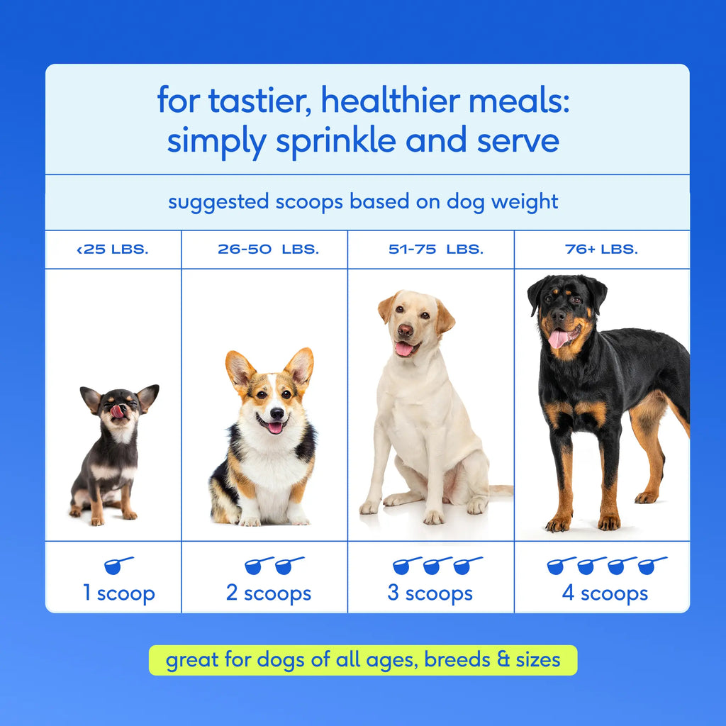 Native Pet Dog Vitamins & Supplements - 11-In-1 Vitamin Powder for Dog Food Topper - Collagen, Glucosamine, Probiotics, Omega & More- Supports Healthy Gut, Mobility & Overall Health
