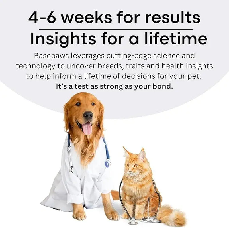 Basepaws Dog DNA Test Kit – 300+ Breeds, 280+ Genetic Health Risks, and 30+ Traits - 1 Pack - Comprehensive Dog DNA Test for Ancestry & Health Care