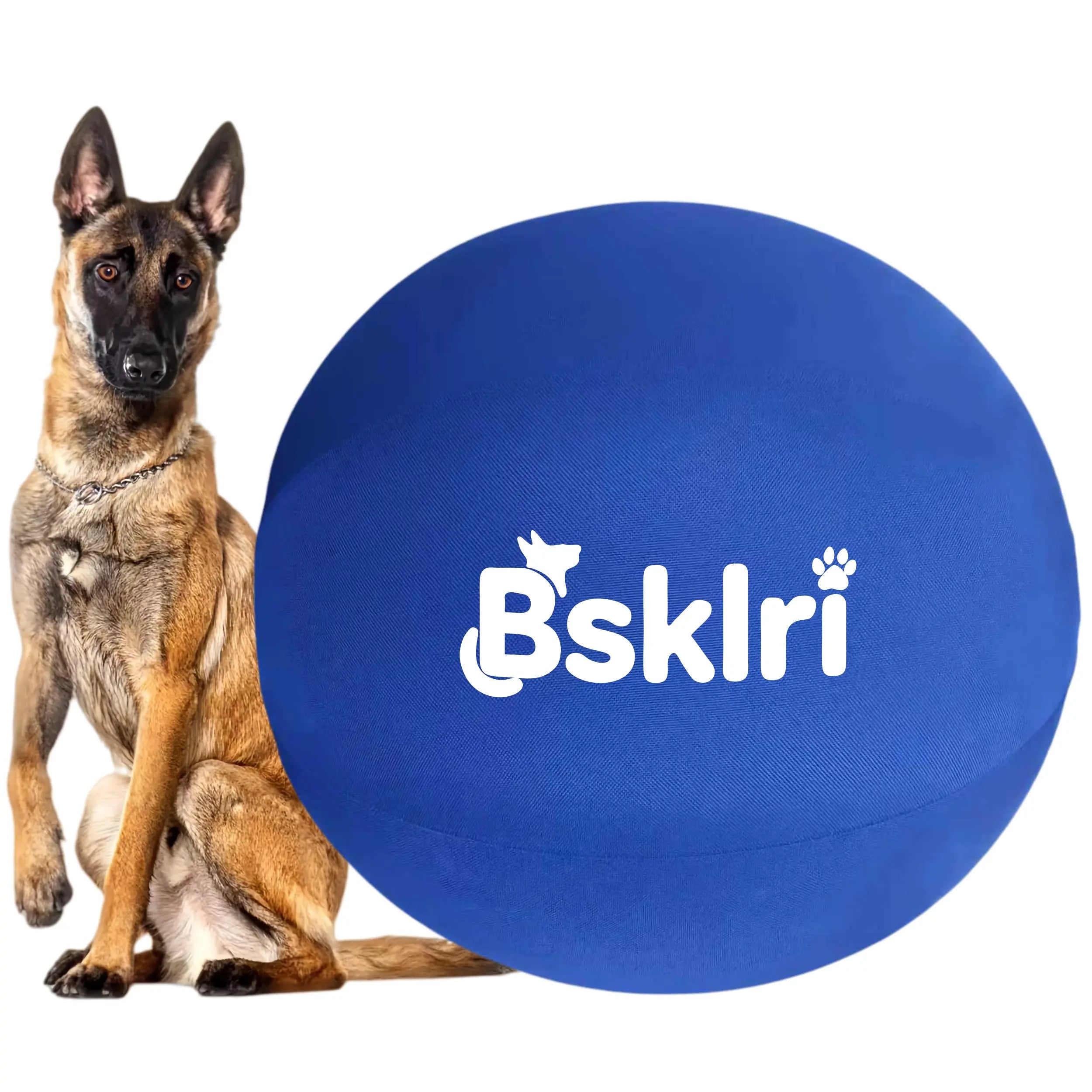 Inflatable Herding Ball for Dogs – Push & Chase Interactive Outdoor Dog Toy (NOT for Aggressive Chewer)