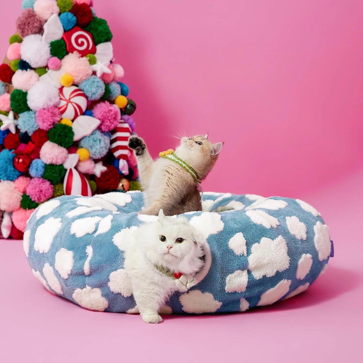Lesure Cat Tunnel Bed for Indoor Cats - Cute Cat Donut Tunnel with Washable Circle Cushion, round Pet Play Tunnel Toy for Kitten/Puppy/Rabbit - Animal Blanket Home