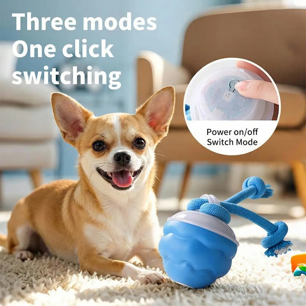 Interactive Dog Toys with Motion Activated, Squeaky Dog Toy Active Rolling Ball, Ball for Daily Training,Used for Small Dogs and Cats , Pet Accessories, Cute Pet Toys(2.95*2.95*4.33Inch)
