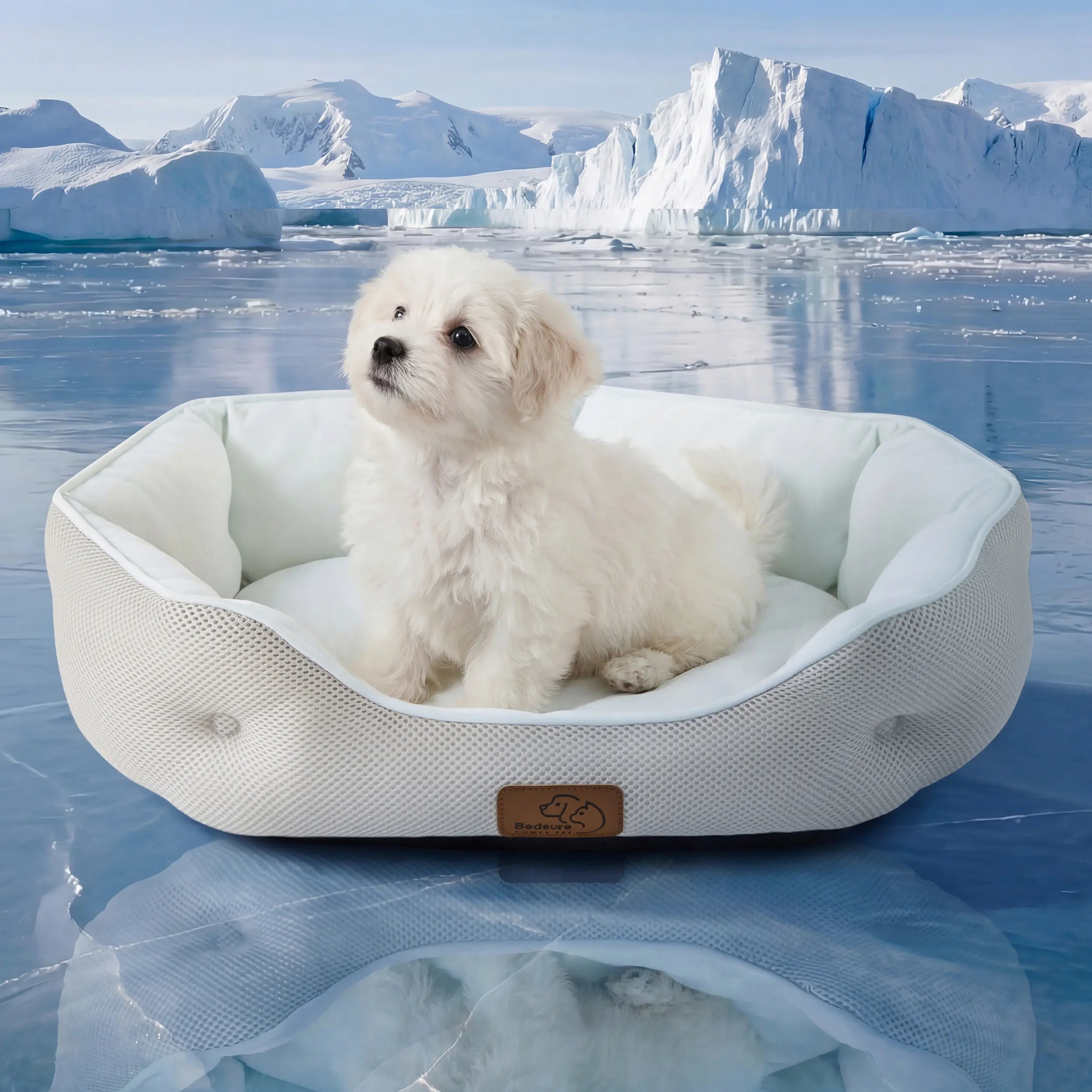 Lesure Cat Tunnel Bed for Indoor Cats - Cute Cat Donut Tunnel with Washable Circle Cushion, round Pet Play Tunnel Toy for Kitten/Puppy/Rabbit - Animal Blanket Home