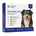 Breed + Health Dog DNA Test