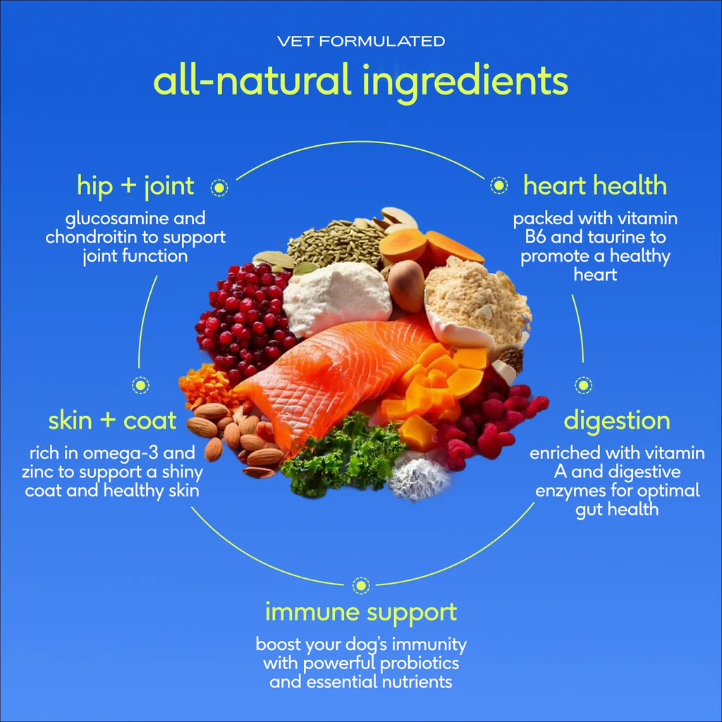 Native Pet Dog Vitamins & Supplements - 11-In-1 Vitamin Powder for Dog Food Topper - Collagen, Glucosamine, Probiotics, Omega & More- Supports Healthy Gut, Mobility & Overall Health