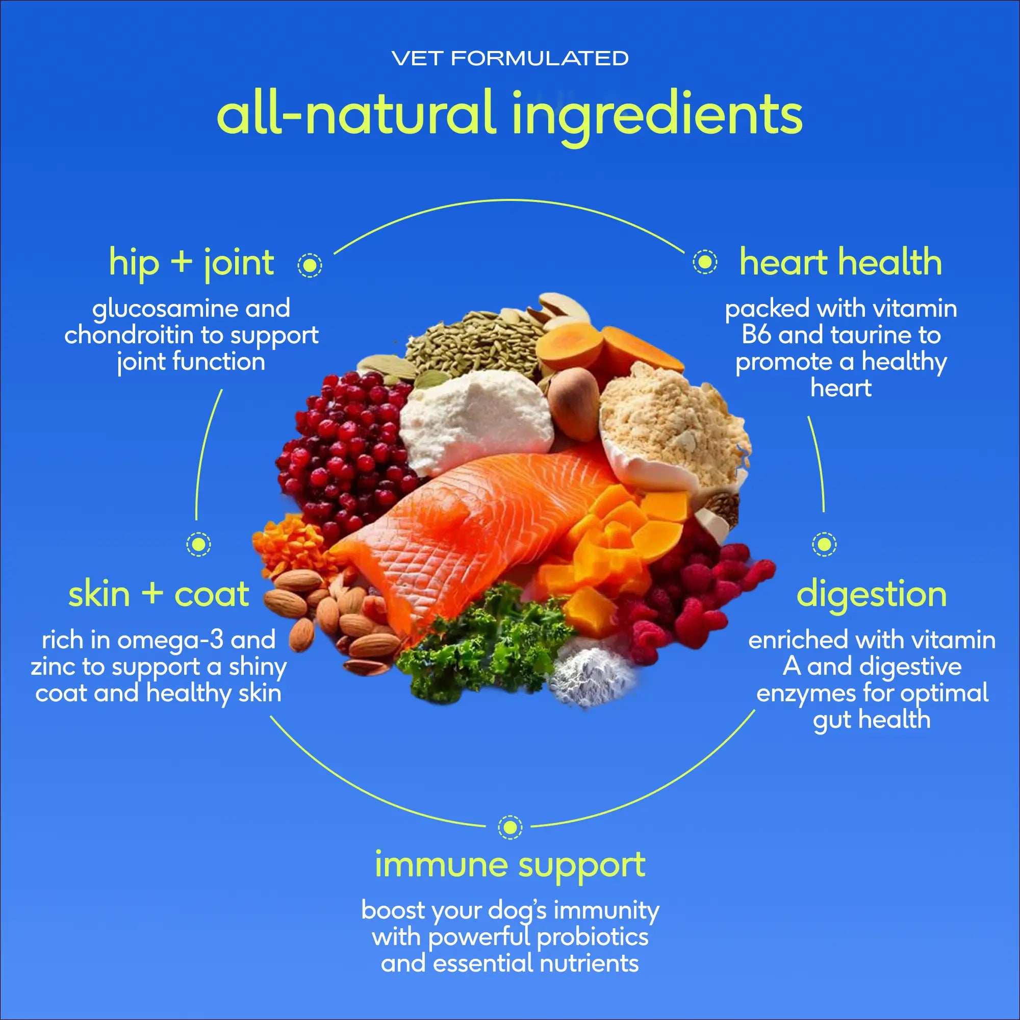 Native Pet Dog Vitamins & Supplements - 11-In-1 Vitamin Powder for Dog Food Topper - Collagen, Glucosamine, Probiotics, Omega & More- Supports Healthy Gut, Mobility & Overall Health
